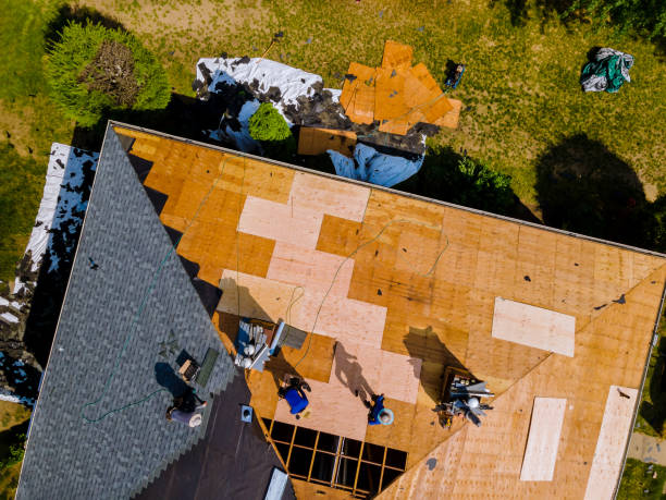 Best Flat Roof Repair Services  in Colony Rk, PA