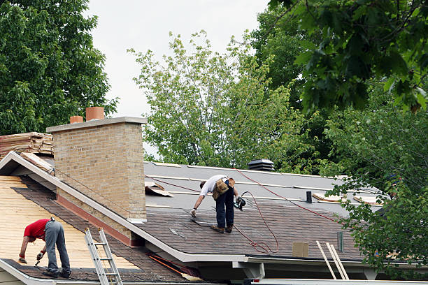 Best Commercial Roofing Services  in Colony Rk, PA
