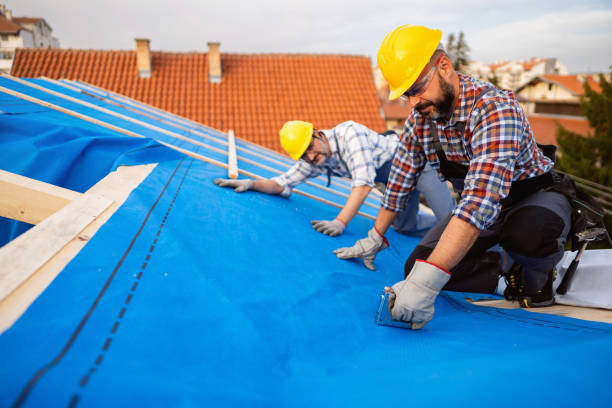 Best Emergency Roof Repair  in Colony Rk, PA