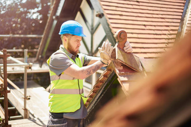 Best Gutter Installation and Roofing  in Colony Rk, PA