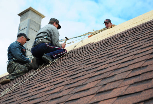 Best Metal Roofing Contractor  in Colony Rk, PA