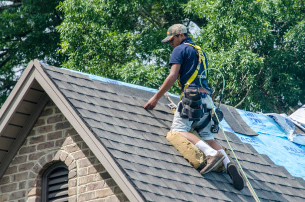 Gutter Installation and Roofing in Colony Park, PA